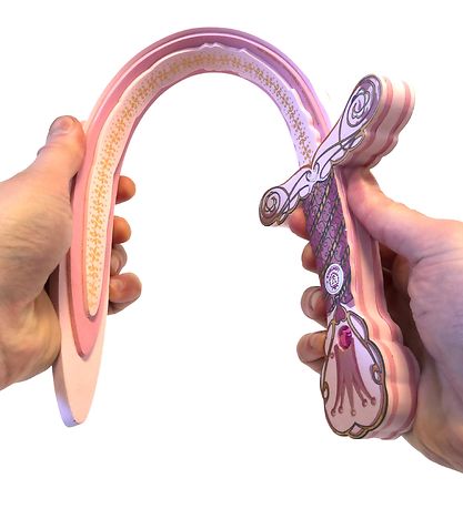 Liontouch Búningur - Queen Sword - Bleikt