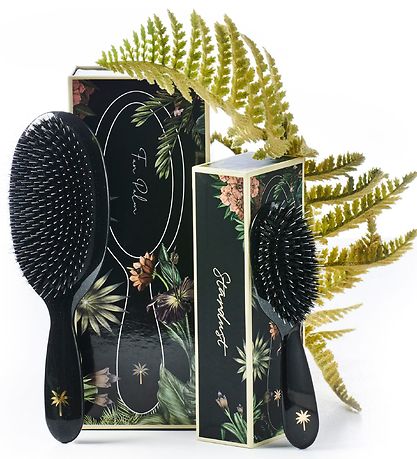 Fan Palm Hairbrush - Large - Stardust