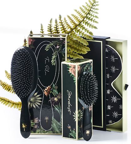 Fan Palm Hairbrush - Small - Stardust