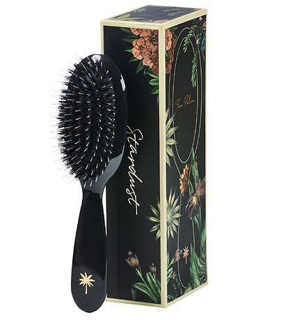 Fan Palm Hairbrush - Small - Stardust