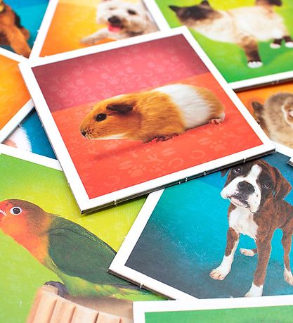 TACTIC Memory Game - Pets