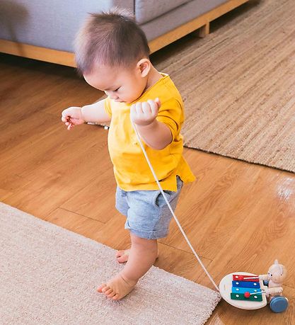 PlanToys Wooden Toy - Musical Bear In Leash - Wood