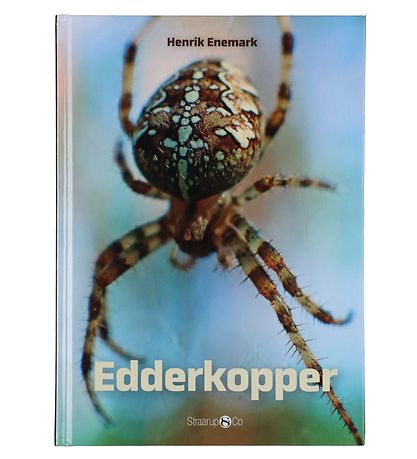 Straarup & Co Sampak - Play & Read - Spiders