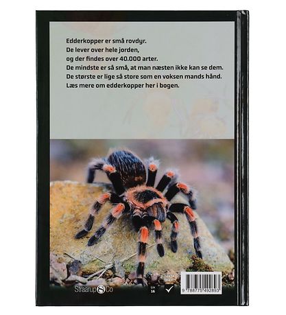 Straarup & Co Sampak - Play & Read - Spiders