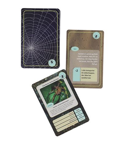 Straarup & Co Sampak - Play & Read - Spiders