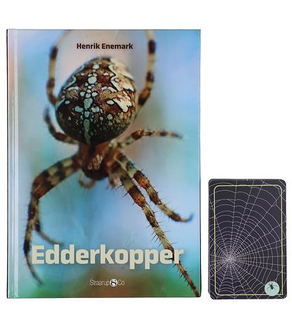Straarup & Co Sampak - Play & Read - Spiders