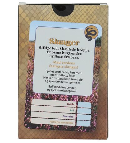 Straarup & Co Kartenspiel - Spielen & Lesen - Gefährliche Schlan