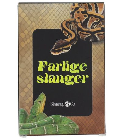 Straarup & Co Kartenspiel - Spielen & Lesen - Gefährliche Schlan