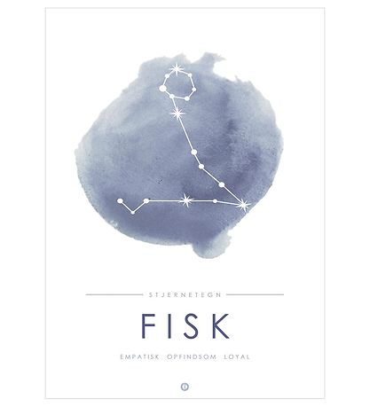 Citatplakat Affisch - A3 - Constellation - Fisk - Blå