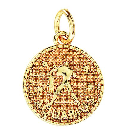 Me&My BOX Necklace w. Zodiac Sign - Aquarius - Gold Plated