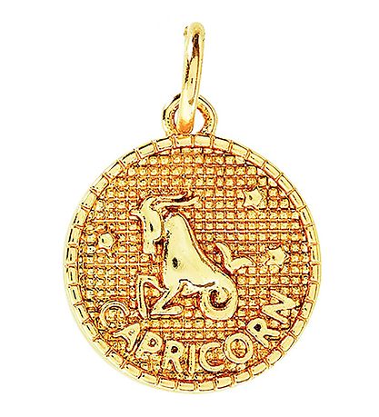 Me&My BOX Necklace w. Zodiac Signs - Capricorn - Gold Plated