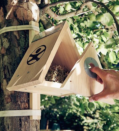 HABA Terra Kids - Bausatz - Vogelhaus