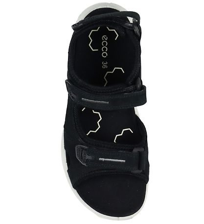 Ecco Sandal - X-Trinsic - Black