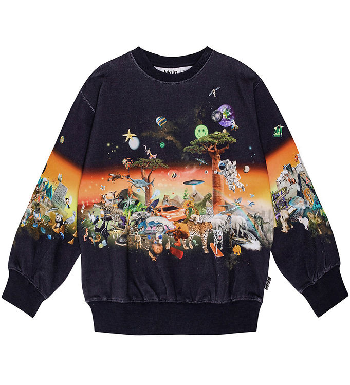 Molo Sweatee Shirt Monti Alla Things
