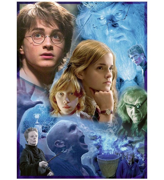 Ravensburger Harry Potter 500pc Jigsaw Puzzle 