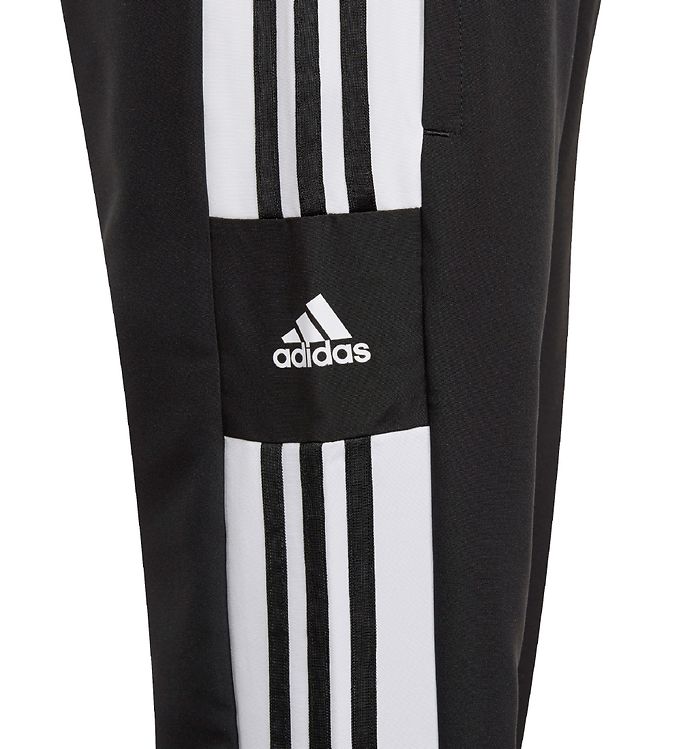 adidas Performance Track Pants - Squadra 21 Pre - Black/White