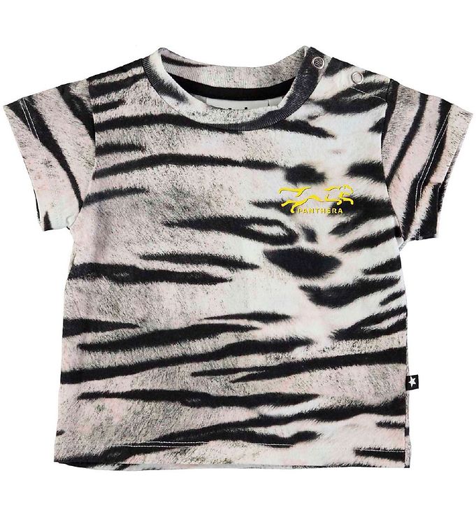 Molo T-shirt - Emilio - Tiger White » New Styles Every Day