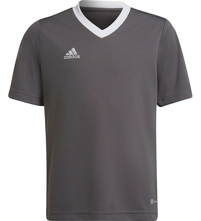 adidas Performance T-shirt - JSYY Grey/White - ENT22