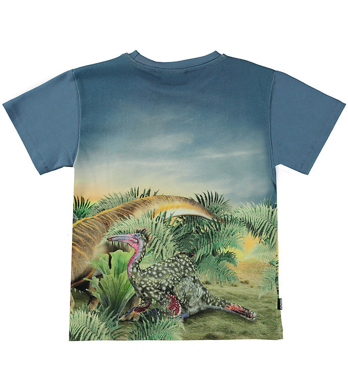 Molo T-shirt - Raveno - Dino Friends » Fast and Cheap Shipping