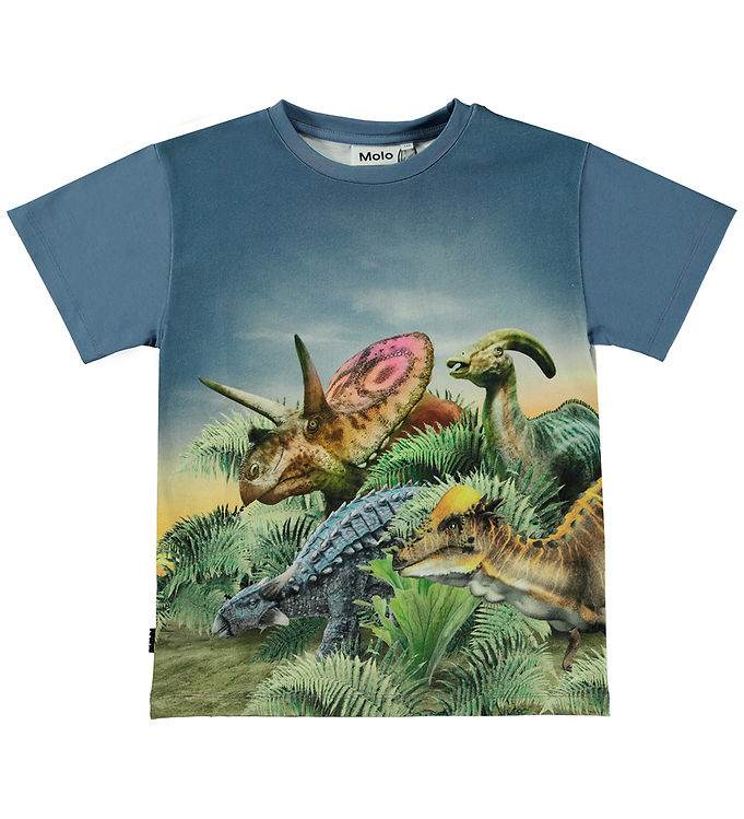 Molo T-shirt - Raveno - Friends and Fast » Shipping Dino Cheap
