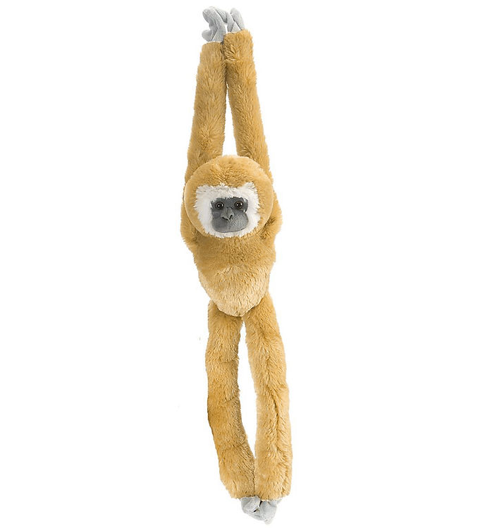 Wild republic hanging monkey online