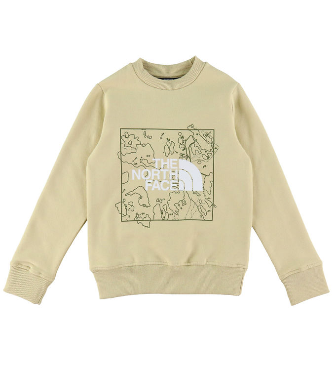 The North Face Sweatee Shirt Grafik Grus/forest Olive