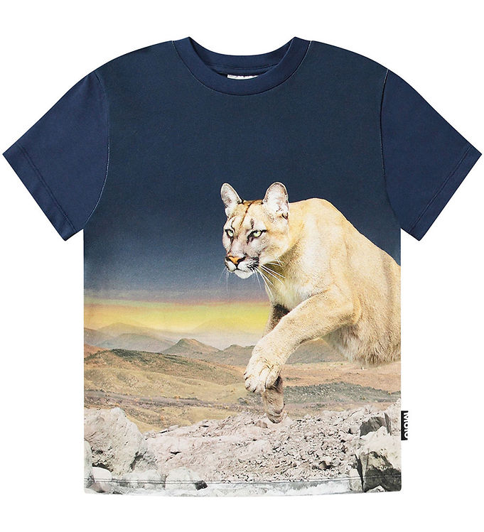 Molo T Shirt Roxo Puma Blue