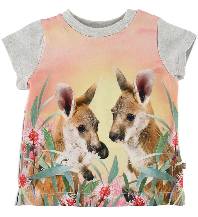 Molo T-shirt - Elly - Cute Kangaroos » Quick Shipping