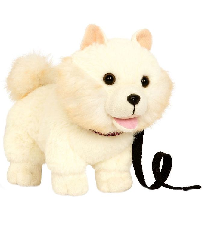 Our discount generation pet