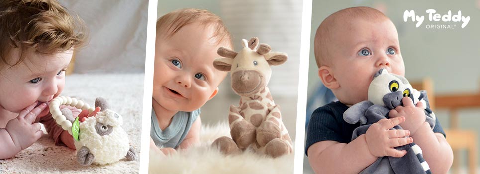 My Teddy Toys & Interior for Kids
