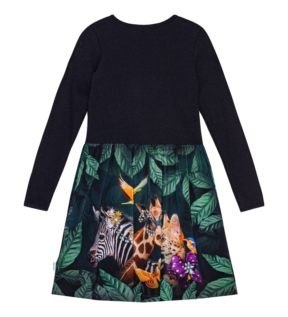 Robe Molo - Credence - Avant-garde
