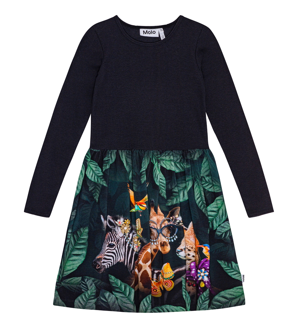 Robe Molo - Credence - Avant-garde