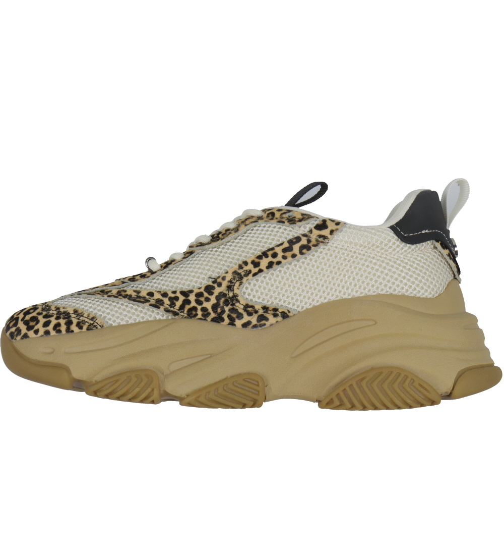 Steve Madden Shoes - PossessionL-E - Leopard Multi