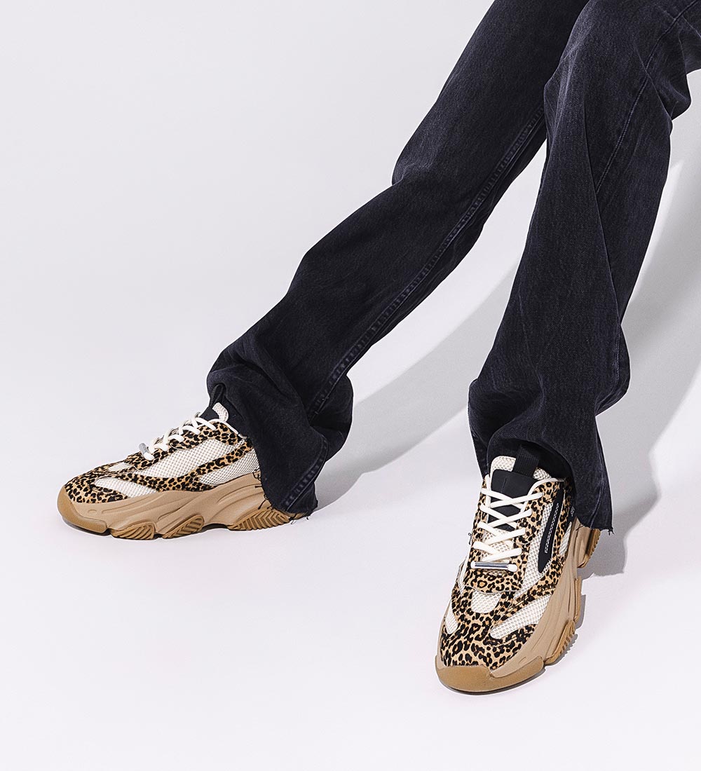 Steve Madden Shoes - PossessionL-E - Leopard Multi