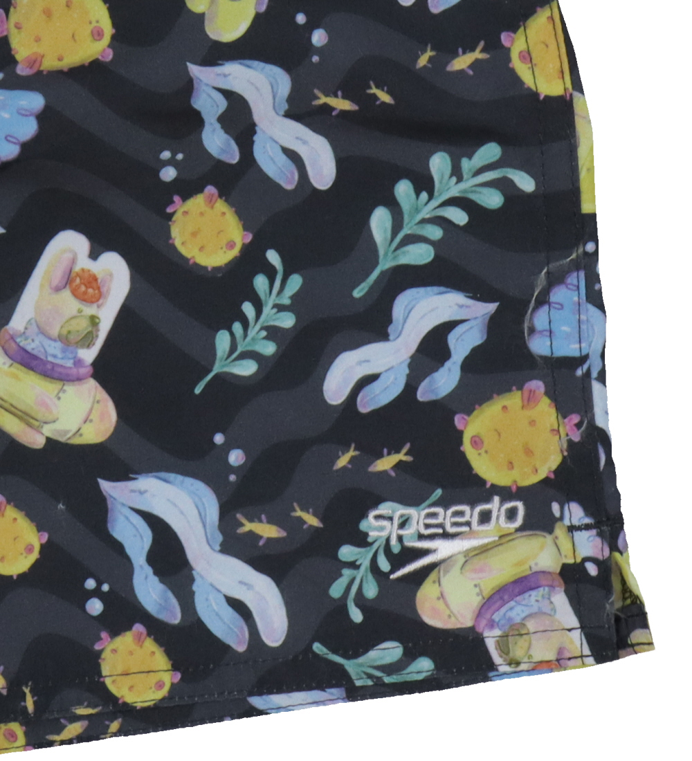 Speedo Swim Shorts - Black/Bluegold