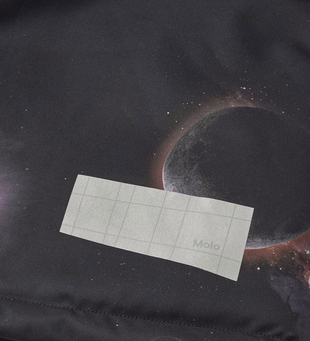 Molo Winter Coat - Castor - Infinity