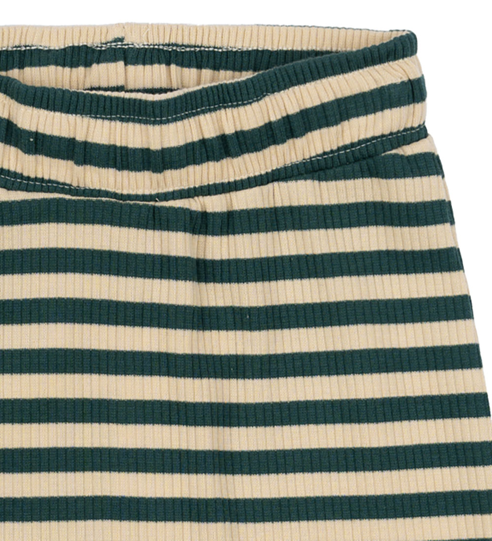 The New Trousers - Rib - TnsFro - June Bug