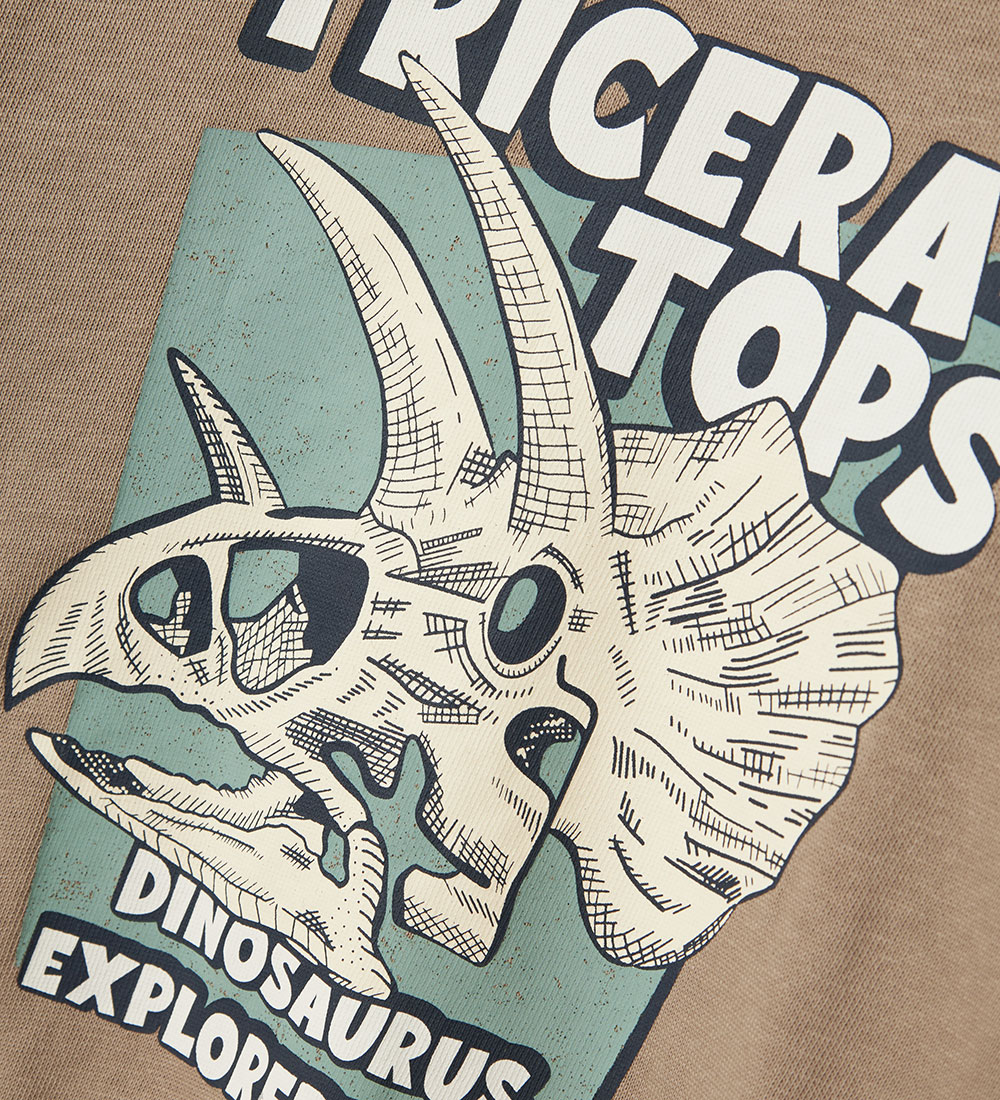 Name It Sweatshirt - NmmVildar - Weathered Teak/Dinosaurus