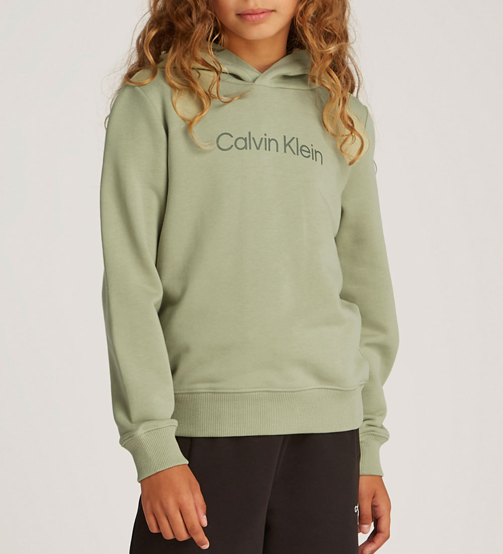 Calvin Klein Hoodie - Logo Reg. Terry - Misty Vale