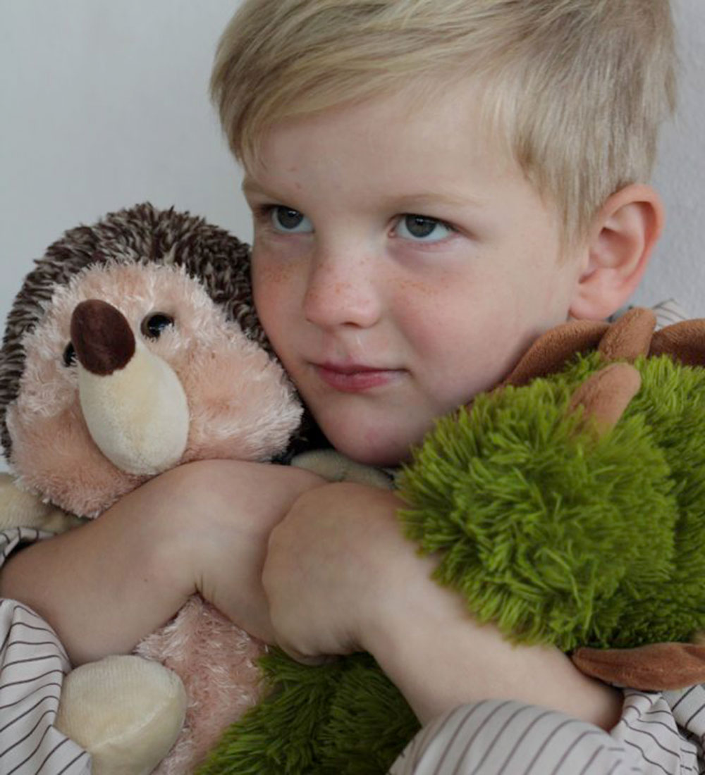 Cozy Time Soft Toy - Microwaveable Cozy Warmer - 31 cm - Hedgeho