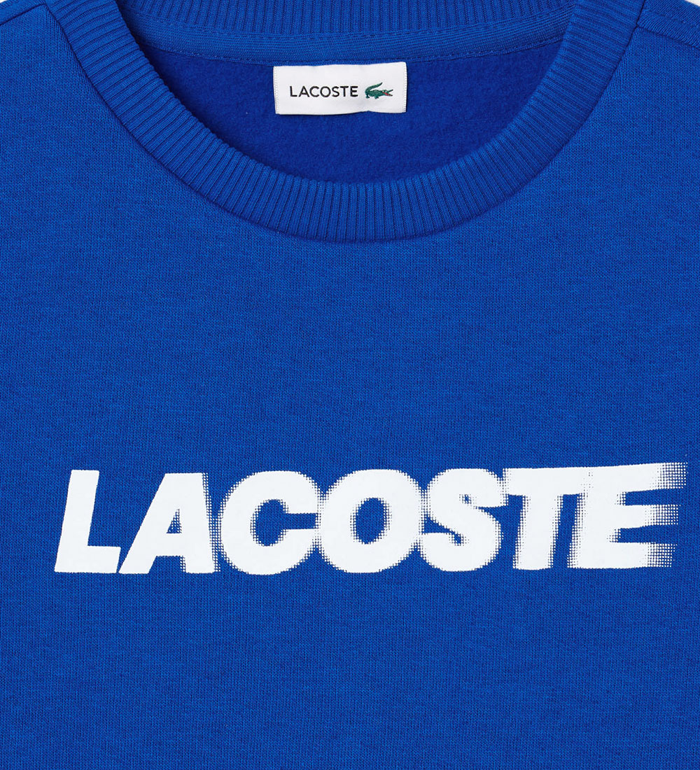 Lacoste Sweatshirt - Lazuli m. Weiß