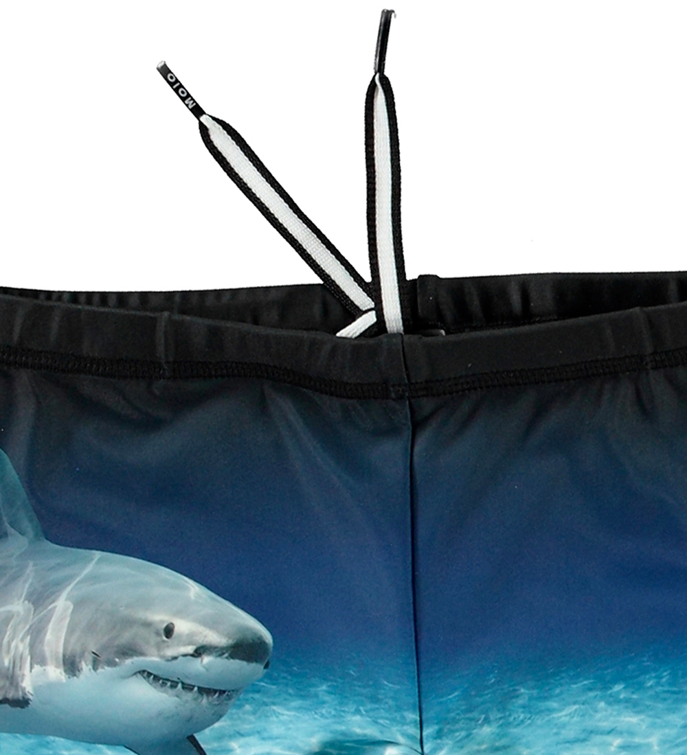 Molo Swim Trunks - UV50+ - Norton Placed - Faded Shark