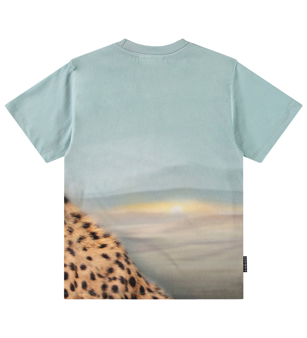 Molo T-shirt - Ruby - BIG Cheetah Blue