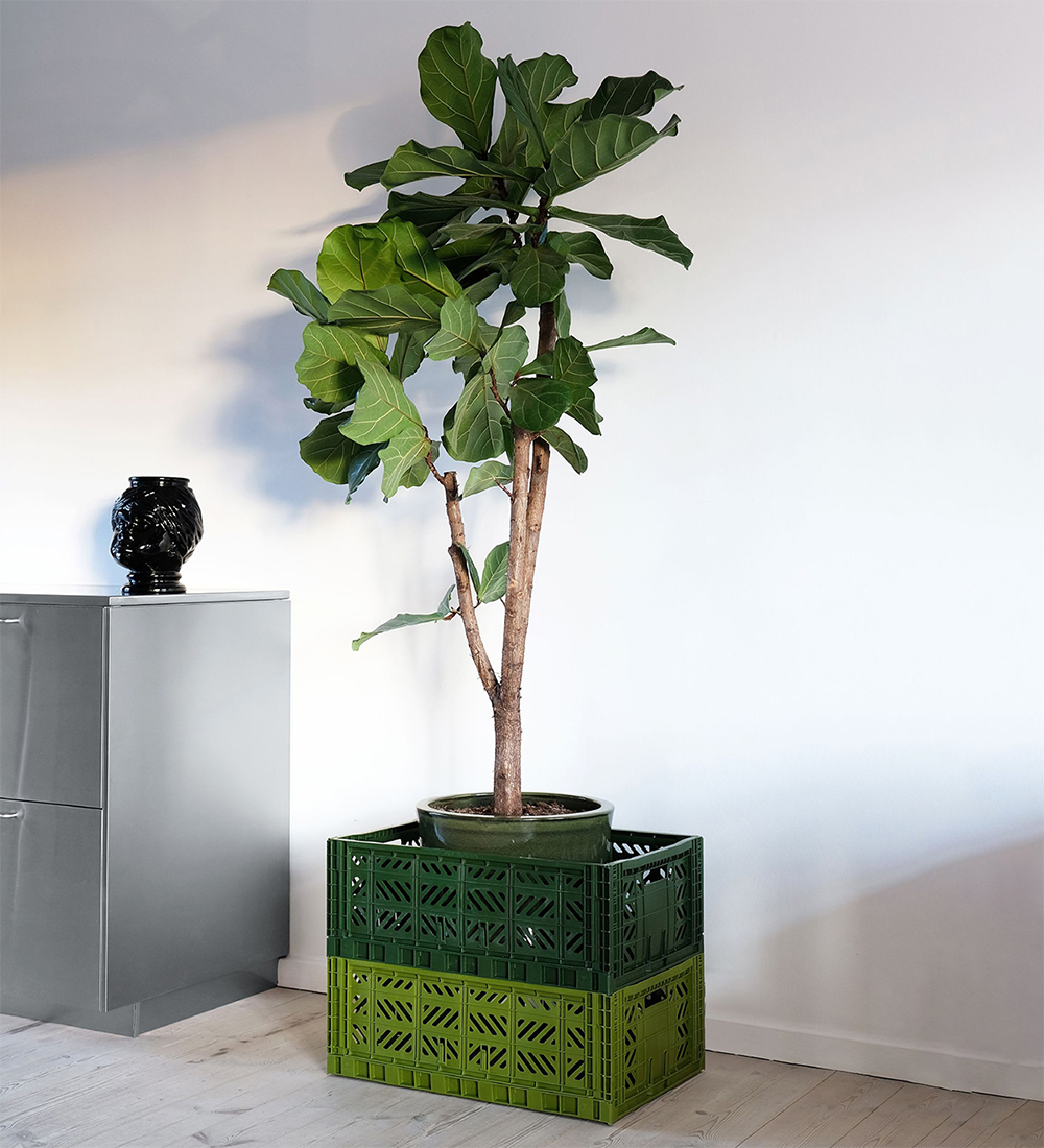 Aykasa Foldable Box - 60x40x22 cm - Maxi - Lime Cream