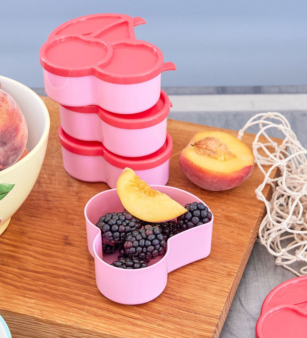 Rice Food container - 4-Pack - Pink/Cherry