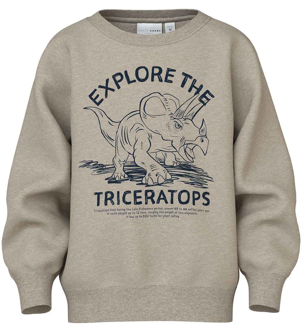 Name It Sweatshirt - NmmVion - Reines Kaschmir/Triceratops