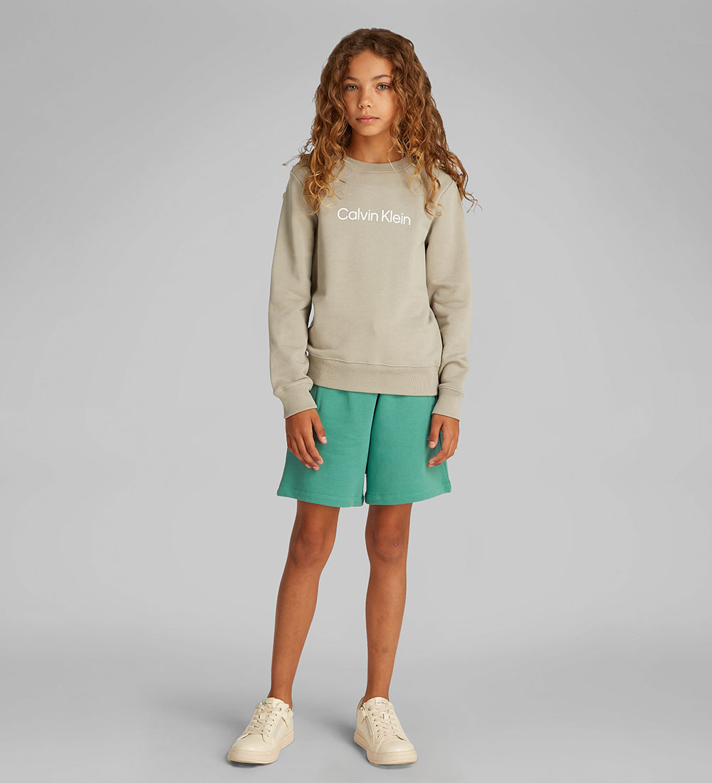 Calvin Klein Sweatshirt - Inst. Logo - Lorbeer Oak Grey