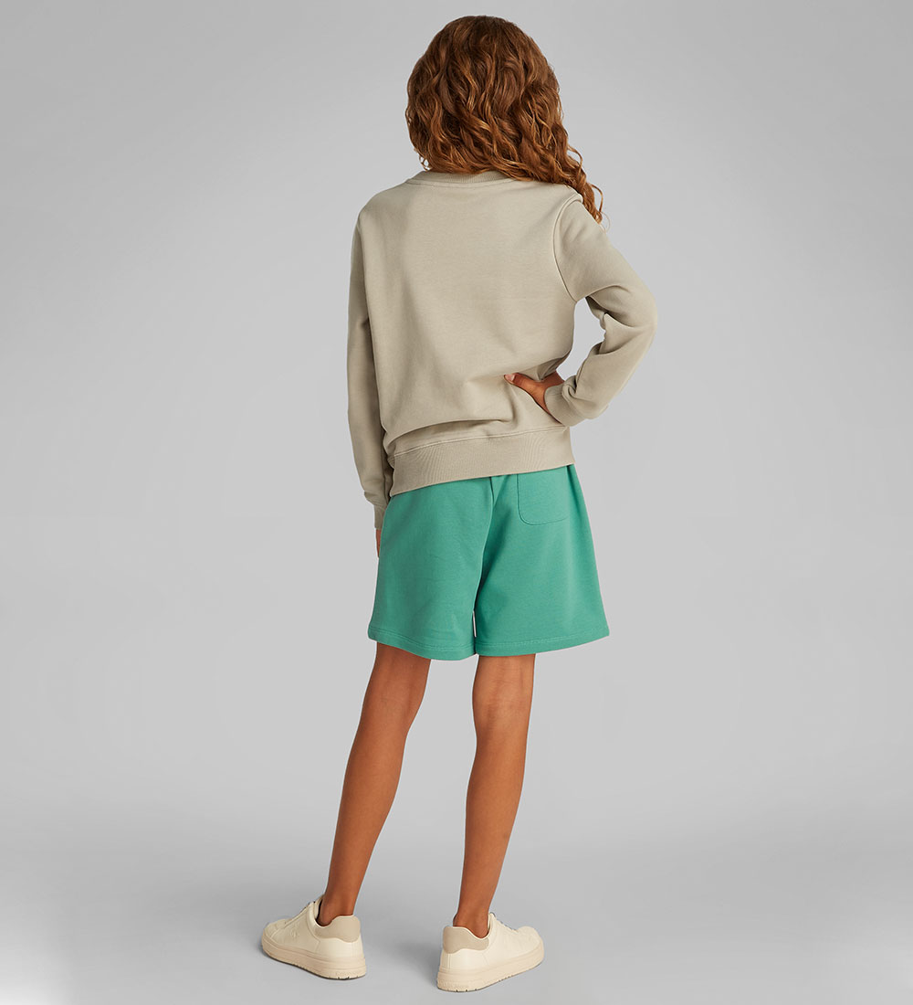 Calvin Klein Sweatshirt - Inst. Logo - Lorbeer Oak Grey