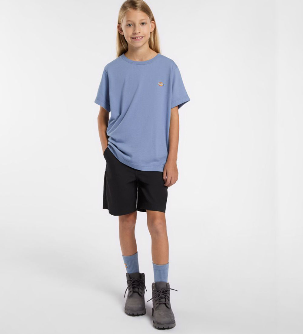 Dickies T-shirt - Mapleton - Country Blue