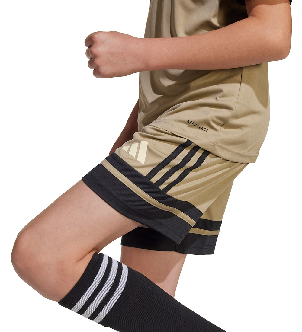 adidas Performance Sports shorts - SQUA25 - Blacar/Black/Warvan